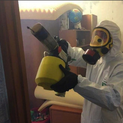 Уничтожение клопов в квартире. Губкин